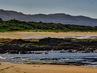 Australian landscape