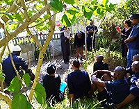 Organic Gardening Workshop