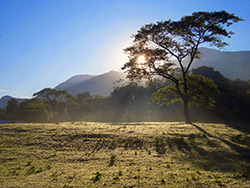 Tanzania landscape