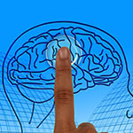 brain activated by touch