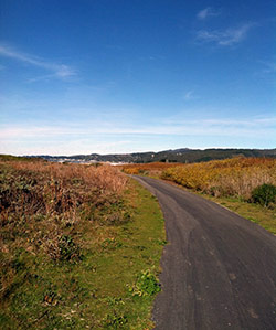 ocean path