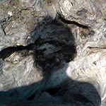shadowy figure